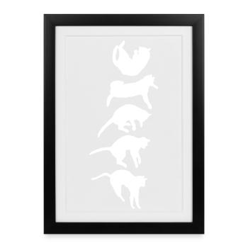 Réflexe de redressement du chat qui tombe - Affiche encadrée (27 × 37 cm) - noir - Devant