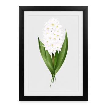 Jacinthe blanche – délicatesse sous forme de fleur - Affiche encadrée (27 × 37 cm) - noir - Devant