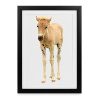 cheval blanc cheval blanc t-shirt cadeau cavalier - Affiche encadrée (27 × 37 cm) - noir - Devant