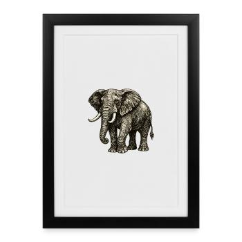Illustration d’éléphants vintage – Pouvoir & Nature - Affiche encadrée (27 × 37 cm) - noir - Devant