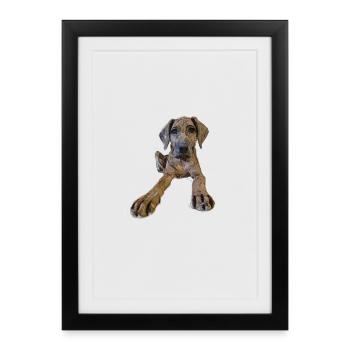 Dog puppy with curious look - Framed poster (27 × 37 cm) - black - Front