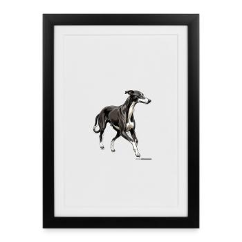 Silhouette Greyhound Contour élégant - Affiche encadrée (27 × 37 cm) - noir - Devant