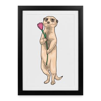 Meerkat Tulip - Framed poster (27 × 37 cm) - black - Front