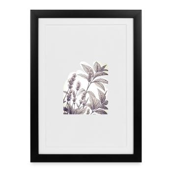Lavender study in the foliage - Framed poster (27 × 37 cm) - black - Front