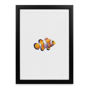 Poisson-clown - Affiche encadrée (27 × 37 cm) - noir - Devant
