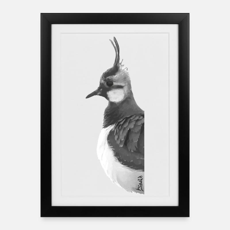 Lapwing Portrait - Framed poster (27 × 37 cm) - black