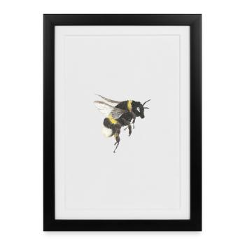 Watercolor Honeybee Accents - Framed poster (27 × 37 cm) - black - Front