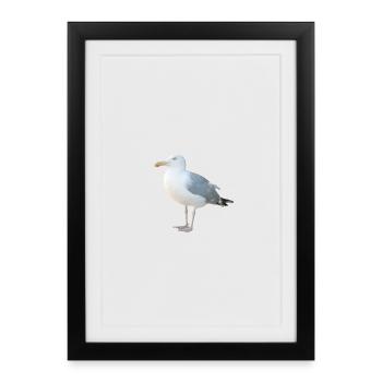 Gull - Framed poster (27 × 37 cm) - black - Front