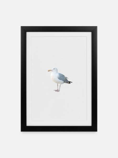 Mouette - Affiche encadrée (27 × 37 cm) - noir
