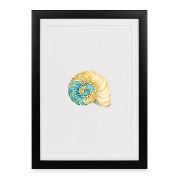 Water-coloured shell spiral - Framed poster (27 × 37 cm) - black - Front