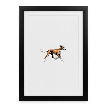 Dynamic Greyhound Running Illustration - Framed poster (27 × 37 cm) - black - Front