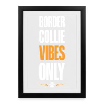 Border Collie Vibes Only - Framed poster (27 × 37 cm) - black - Front