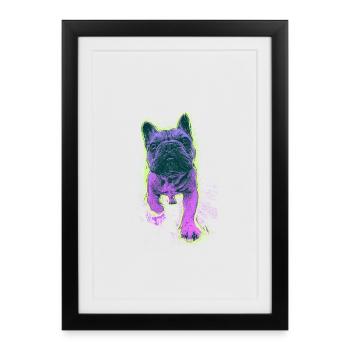 Neon Bulldog Splash - Framed poster (27 × 37 cm) - black - Front