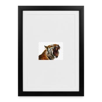 Estampe artistique Tiger Roar - Affiche encadrée (27 × 37 cm) - noir - Devant