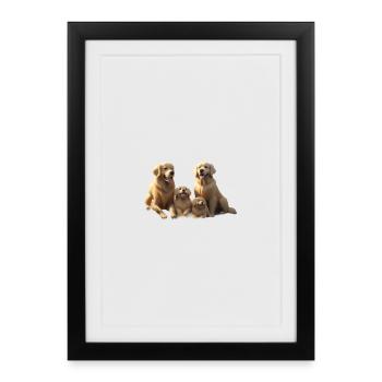 Portrait des chiots de la famille dorée - Affiche encadrée (27 × 37 cm) - noir - Devant
