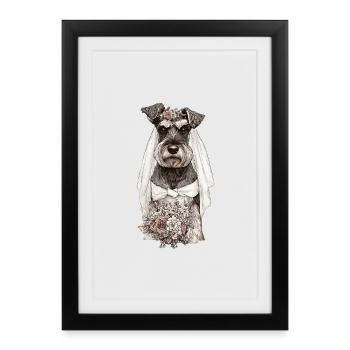 La mariée schnauzer aux fleurs - Affiche encadrée (27 × 37 cm) - noir - Devant