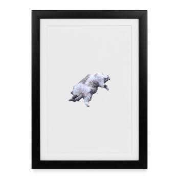 Pose du chat poilu câlin allongé - Affiche encadrée (27 × 37 cm) - noir - Devant