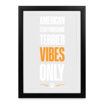 Terrier américain Staffordshire - Affiche encadrée (27 × 37 cm) - noir - Devant