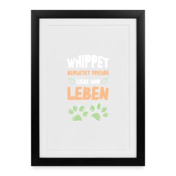 Whippet Love Life Design - Framed poster (27 × 37 cm) - black - Front