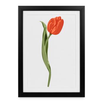 Illustration de tulipe rouge vif - Affiche encadrée (27 × 37 cm) - noir - Devant
