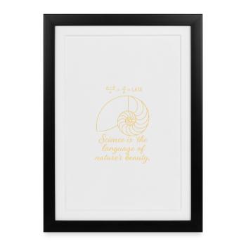 Shell of Fibonacci - Framed poster (27 × 37 cm) - black - Front