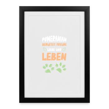 Pomeranian - Framed poster (27 × 37 cm) - black - Front