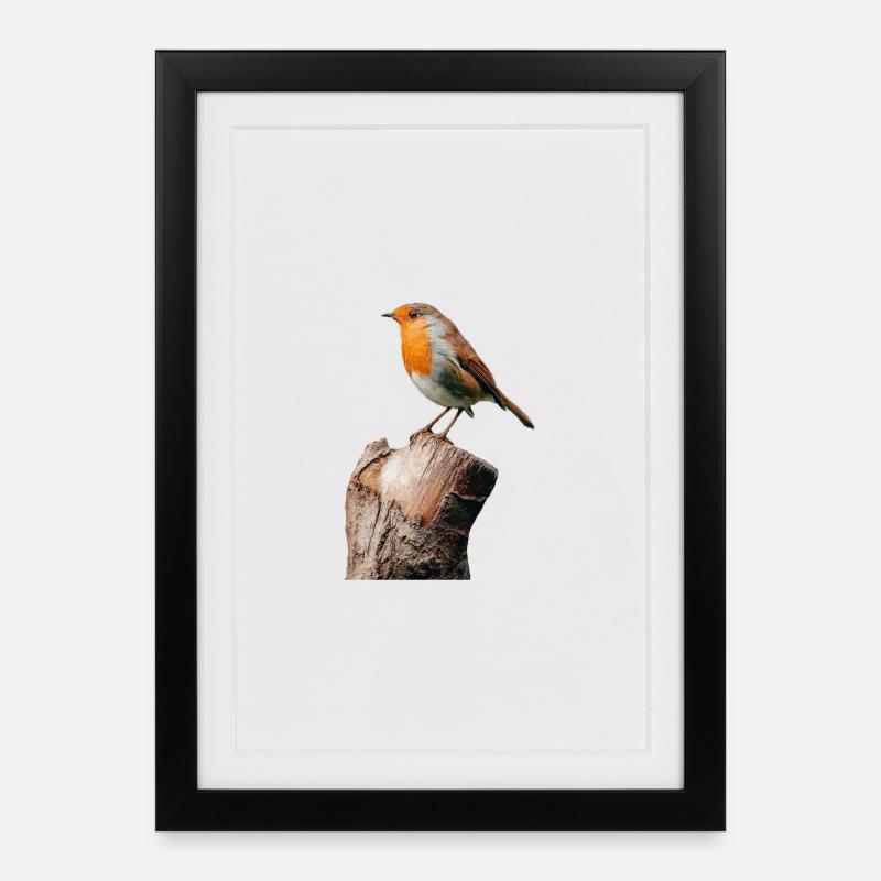 Rotkehlchen - Gerahmtes Poster (27 × 37 cm) - Schwarz