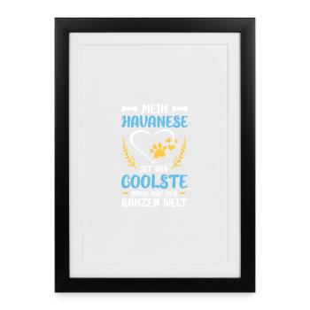 Mon Havanais : Le chien le plus cool du monde - Affiche encadrée (27 × 37 cm) - noir - Devant
