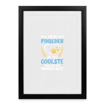 Mejn Pinscher: Best dog in the world - Framed poster (27 × 37 cm) - black - Front