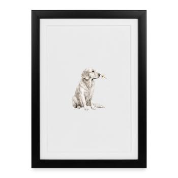 Motif de chien libellule Golden Retriever pour les amateurs de chiens - Affiche encadrée (27 × 37 cm) - noir - Devant