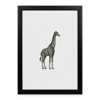Illustration vintage de girafes – Élégance & Nature - Affiche encadrée (27 × 37 cm) - noir - Devant