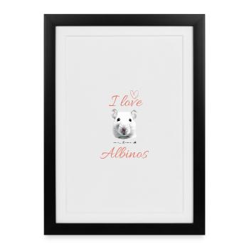 Rat albinos à motif Rattopia - Affiche encadrée (27 × 37 cm) - noir - Devant