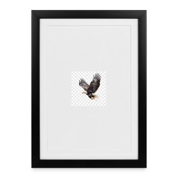 Flying Eagle Majestic Flight - Framed poster (27 × 37 cm) - black - Front