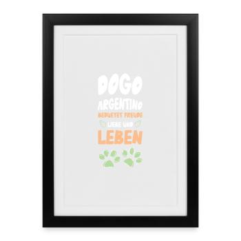 Dogo Argentino joie de vivre - Framed poster (27 × 37 cm) - black - Front