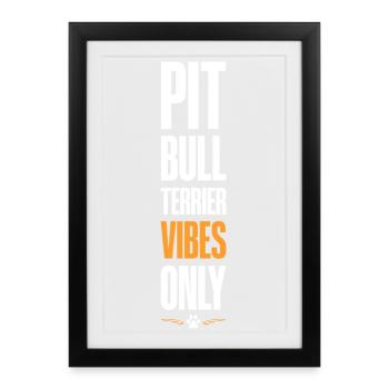 Pitbull Terrier Vibes uniquement - Affiche encadrée (27 × 37 cm) - noir - Devant
