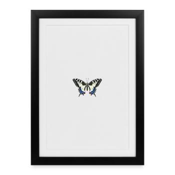 Papillons : Le madaud - Affiche encadrée (27 × 37 cm) - noir - Devant