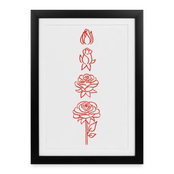 éclosion d'une fleur rouge - Affiche encadrée (27 × 37 cm) - noir - Devant