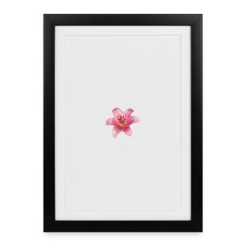 Lily Flower - lily - Framed poster (27 × 37 cm) - black - Front