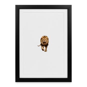 Un lion massif en attaque - Affiche encadrée (27 × 37 cm) - noir - Devant