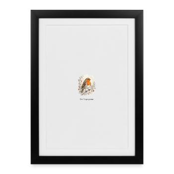 Rotkehlchen Winter – Der Vogelgarten - Gerahmtes Poster (27 × 37 cm) - Schwarz - Vorne