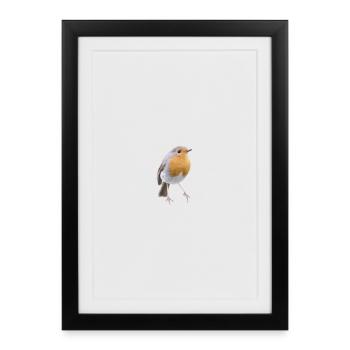 Robin Magic Cute Bird Nature Gift - Framed poster (27 × 37 cm) - black - Front