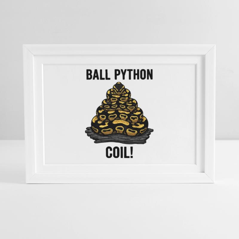 Royal Python Ball Python Coil Reptilienpyramide Gerahmtes Poster (37 × 27 cm)