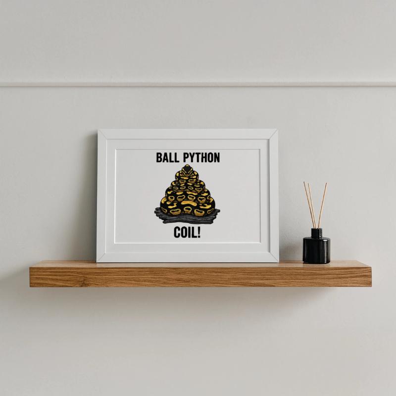 Royal Python Ball Python Coil Reptilienpyramide Gerahmtes Poster (37 × 27 cm)