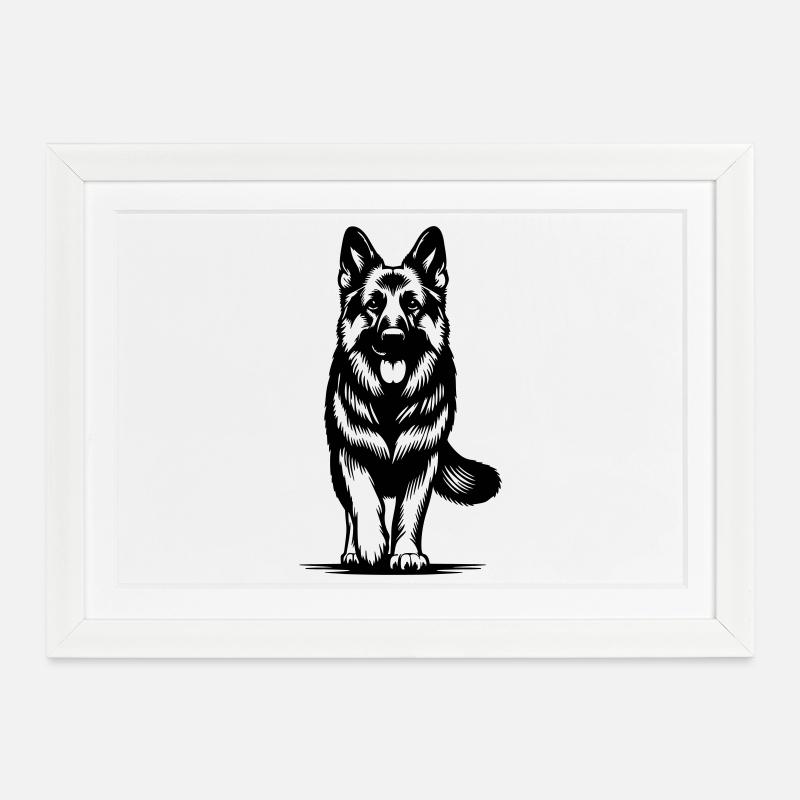 German Shepherd - Framed poster (37 × 27 cm) - white