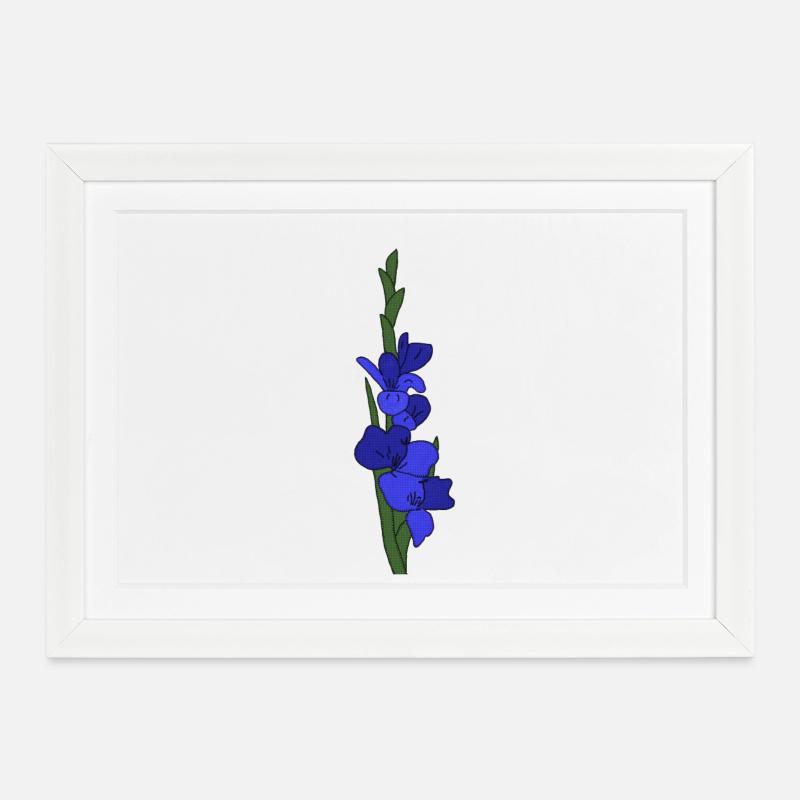 Gladiole blau - Gerahmtes Poster (37 × 27 cm) - Weiß