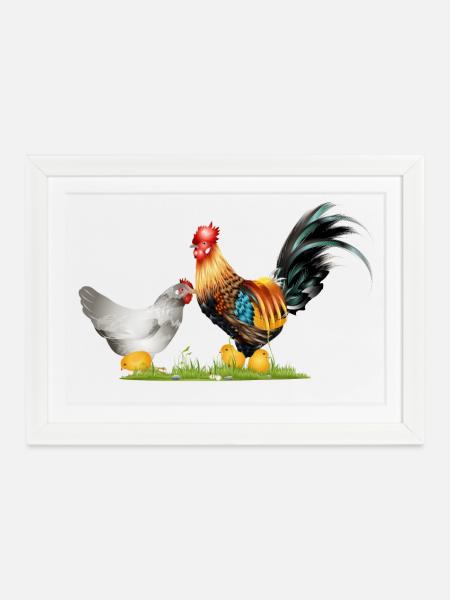stattlicher Hahn mit Henne und Küken Nachwuchs - Gerahmtes Poster (37 × 27 cm) - Weiß