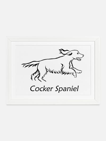 Cocker Spaniel - Gerahmtes Poster (37 × 27 cm) - Weiß