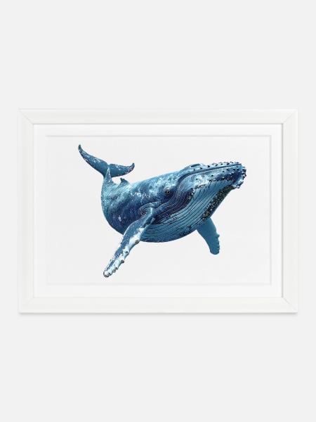Buckelwal - Gerahmtes Poster (37 × 27 cm) - Weiß