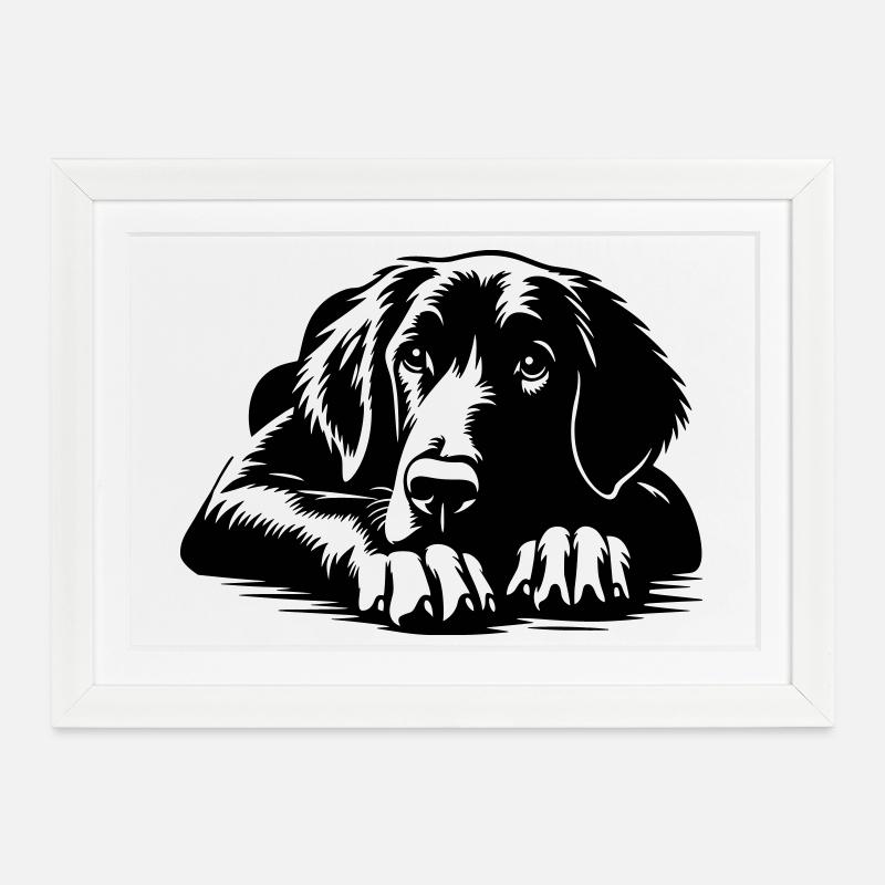 Flat-coated Retriever - Framed poster (37 × 27 cm) - white