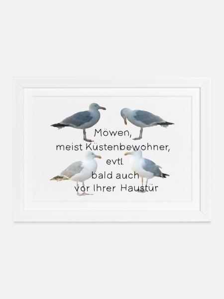 Möwen mit Spruch - Gerahmtes Poster (37 × 27 cm) - Weiß